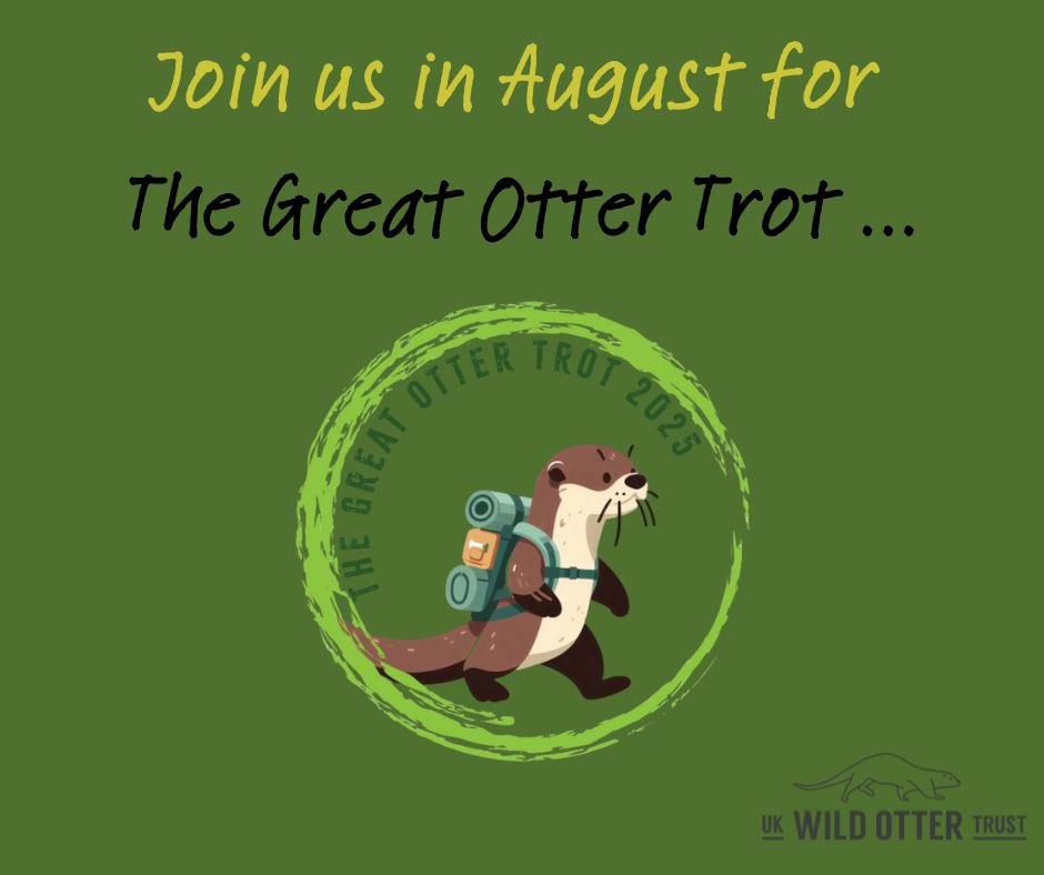 WildOtterTrust's tweet photo. ✨ Join us this August for The Great Otter Trot ✨

The Great Otter Trot 🦦👣🐾 is a new nationwide challenge to raise awareness and vital funds for otter conservation, whilst encouraging everyone to enjoy the UK’s beautiful natural landscapes.

#TheGreatOtterTrot #otters https://t.co/B4M6Pqk0tY