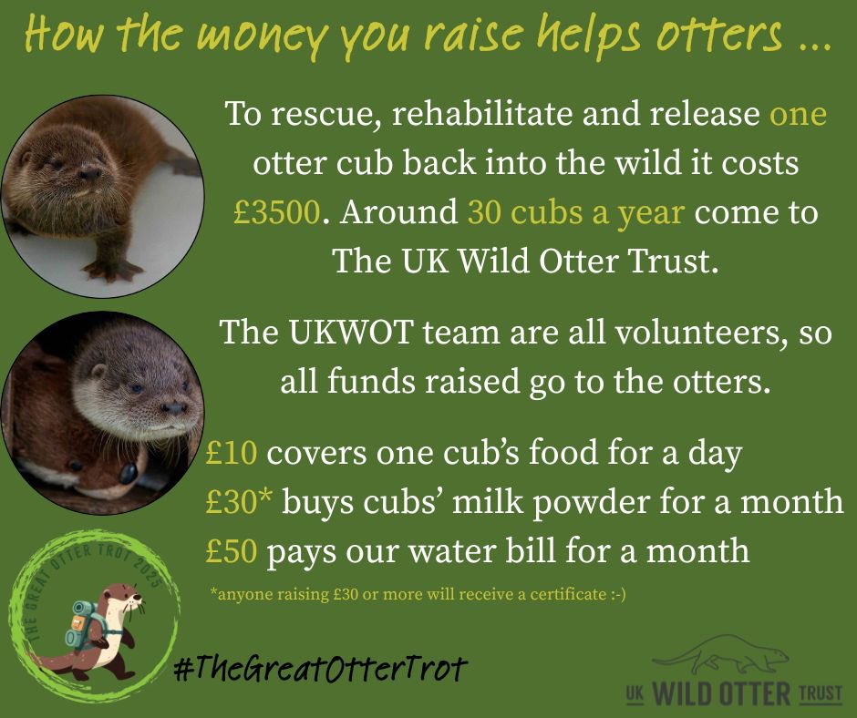 WildOtterTrust's tweet photo. ✨ Join us this August for The Great Otter Trot ✨

The Great Otter Trot 🦦👣🐾 is a new nationwide challenge to raise awareness and vital funds for otter conservation, whilst encouraging everyone to enjoy the UK’s beautiful natural landscapes.

#TheGreatOtterTrot #otters https://t.co/B4M6Pqk0tY