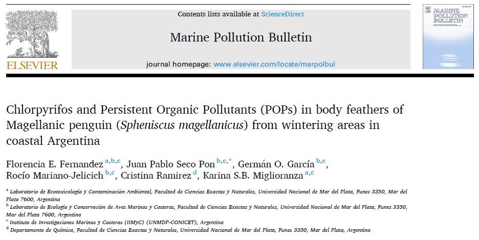 Nueva publicación sobre compuestos orgánicos persistentes en plumas de pingüino de Magallanes. 🐧🪶
sciencedirect.com/science/articl…

#MarinePollutionBulletin