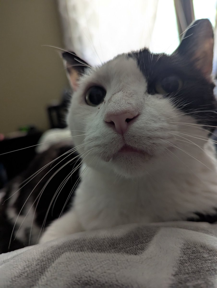 I'm really enjoying the decline of the quality of care at the VA.

It's really great. Going in every Monday for the last two years let's me observe it in real time.