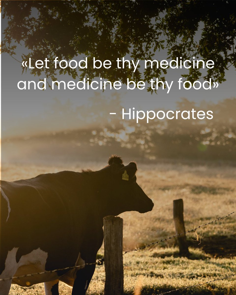 TWF_Health's tweet image. "Let food be thy medicine and medicine by thy food" - Hippocrates