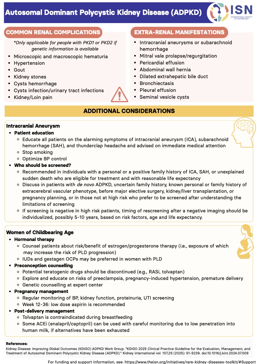 📢 𝗡𝗘𝗪 𝗥𝗘𝗦𝗢𝗨𝗥𝗖𝗘 𝗔𝗟𝗘𝗥𝗧: Download our #ADPKD infographic for a quick overview of diagnosis, delaying progression, complications &amp; more. A handy resource for clinicians and patients alike! 
⬇️theisn.org/wp-content/upl…