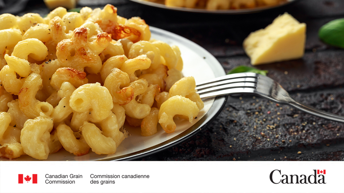 Happy National Macaroni Day! Try making macaroni tonight using pasta made from Canadian durum wheat! Wheat like Canada Western Amber Durum (CWAD) has excellent pasta-making qualities. More on wheat classes: ow.ly/VXTA50WkCmF #CdnAg