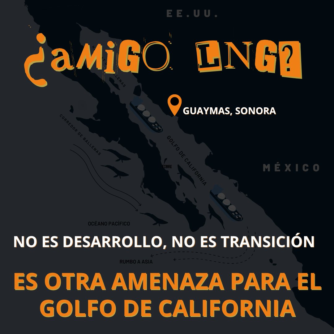 🚨 Nuevo proyecto de gas en el Golfo de California:
Se llama AMIGO LNG.
No tiene MIA. No tiene permisos.
Pero ya negocia vender gas en Asia.
¿Y la biodiversidad marina? ¿Y las comunidades?
No son parte del trato.
#NoAlGNL #AMIGOLNG #EsGasFósil #BallenasOGas