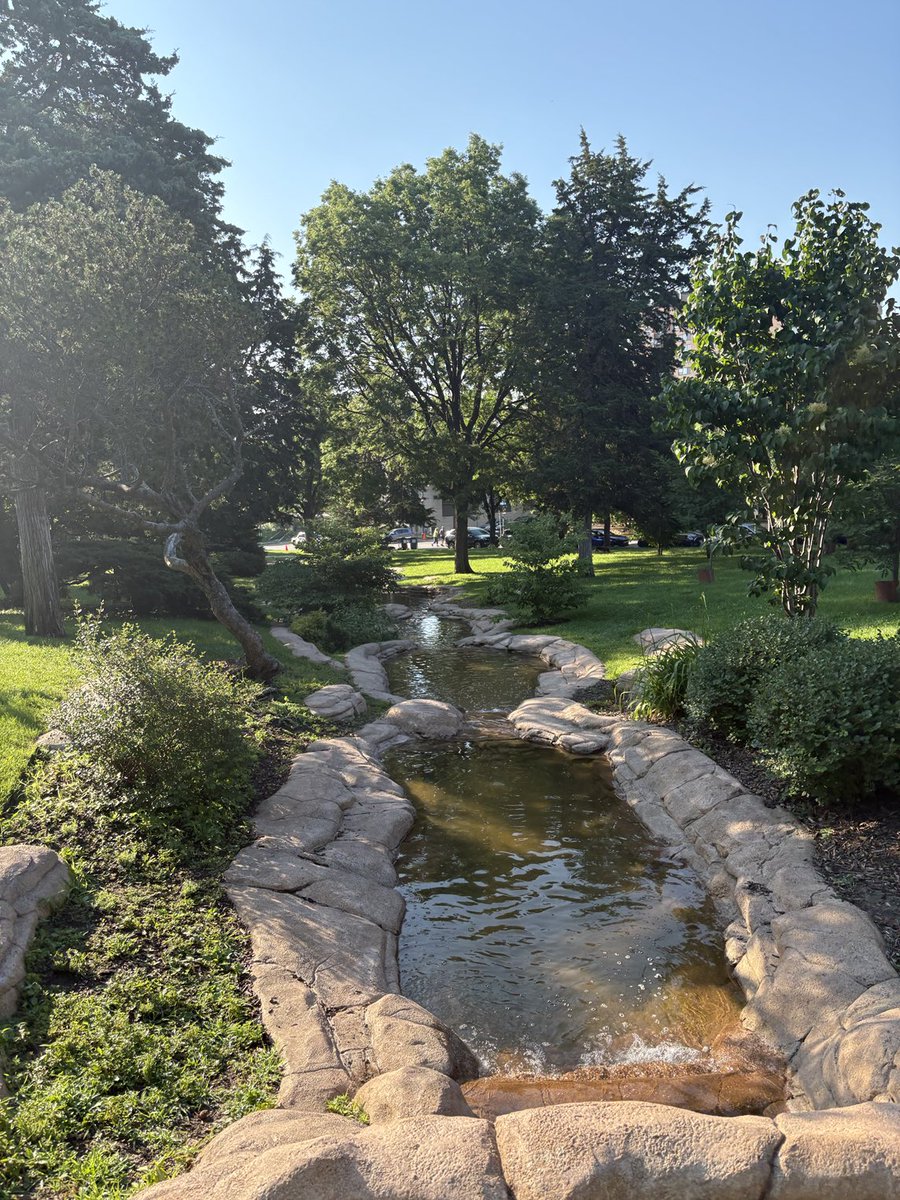 Morning walk around the ponds #serenity