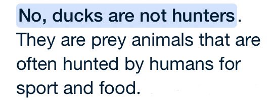 Jimbo Ortega tweet media