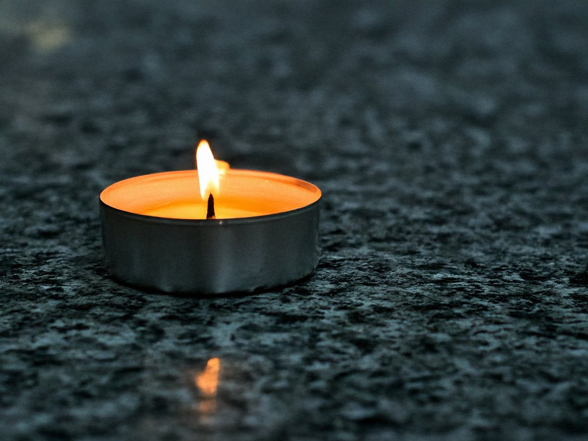 Crowdguard (@crowdguard1) on Twitter photo 7th July remains a day of reflection - for lives changed, lost, and for the resilience that followed. Today, we remember with respect and stand with all who carry this day with them. #Crowdguard #July7 #Remembrance #Respect #Reflection 7th July remains a day of reflection - for lives changed, lost, and for the resilience that followed. Today, we remember with respect and stand with all who carry this day with them. #Crowdguard #July7 #Remembrance #Respect #Reflection