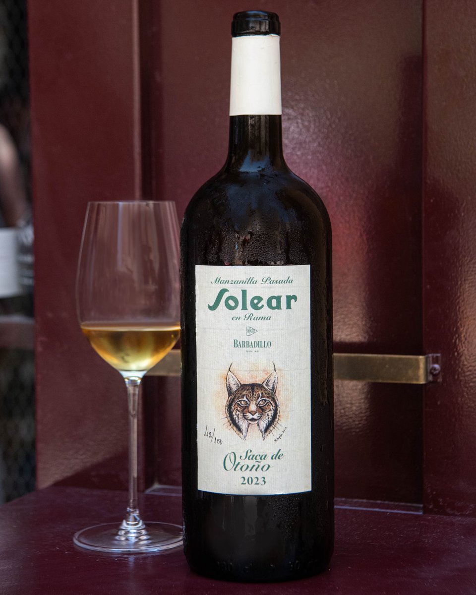 Barbadillo Manzanilla Solear en Rama. Saca de Otoño 2023 (Magnum), Sanlúcar