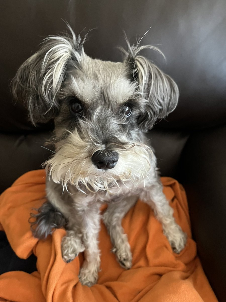 Good morning. It was time for a Poppy post.