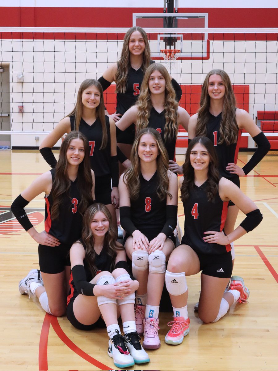 Happy World Volleyball Day!