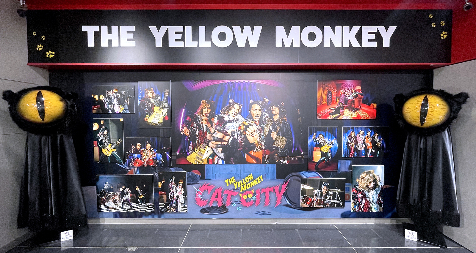 未開封 THE YELLOW MONKEY「CAT CITY」全形態5枚セット THE YELLOW MONKEY | ザ・イエロー・モンキー オフィシャルサイト