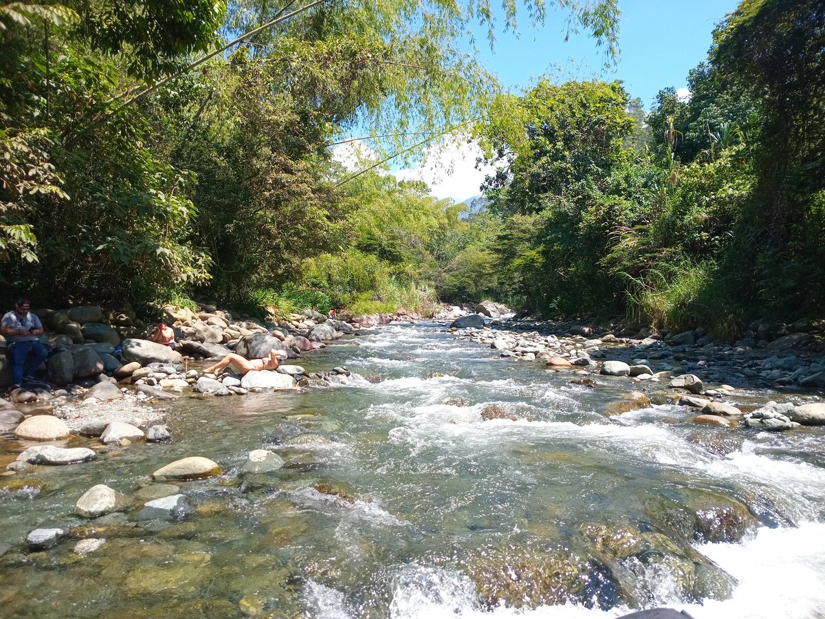 lore y alex tweet media