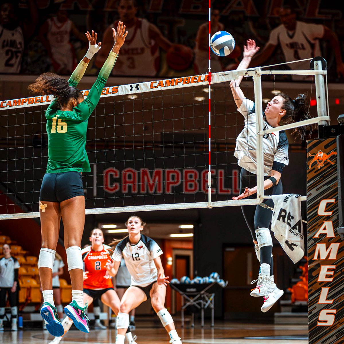 GoCamelsVB's tweet image. Happy #WorldVolleyballDay🏐🧡