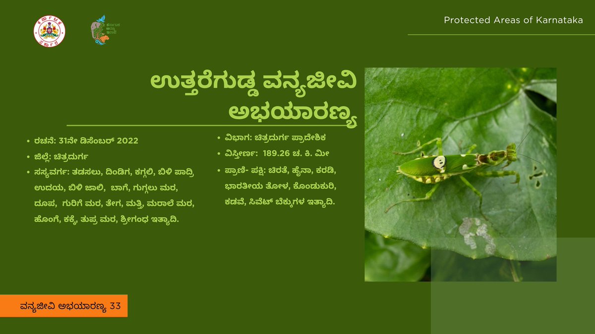 aranya_kfd's tweet photo. ಕರ್ನಾಟಕದ ಉತ್ತರೆಗುಡ್ಡ ವನ್ಯಜೀವಿ ಅಭಯಾರಣ್ಯದ ಕಿರು ಪರಿಚಯ ಇಲ್ಲಿದೆ.
Here's a brief introduction to Uttaregudda Sanctuary.
#KFDPAseries #ProtectedAreas #Karnataka #NationalPark #uttaregudda https://t.co/V3gf5FLAmI
