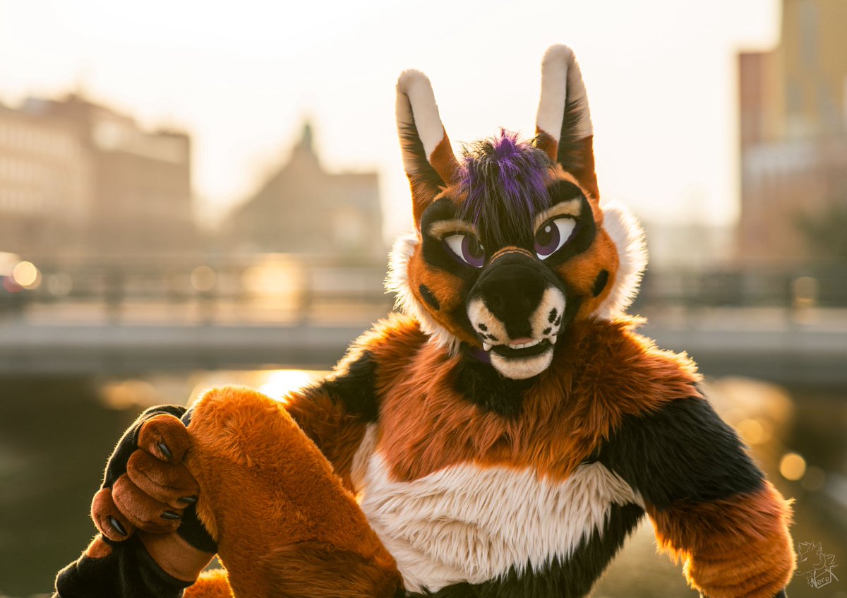 Golden hour 🌅💜 #MFYMonday 

📸: <a href="/fur_nerox/">Nerox</a> 
🪡: <a href="/MadeFurYou/">Made Fur You</a>