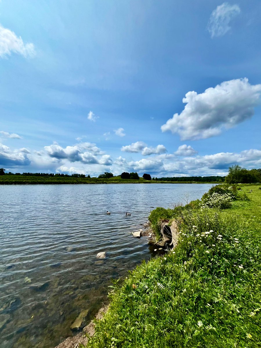 sw37xx's tweet image. Happy new week, my friends! 😊
I hope you’ve all had a good start to the
week & enjoy the evening ahead! 🩵
#NatureBeauty #NaturePhotography