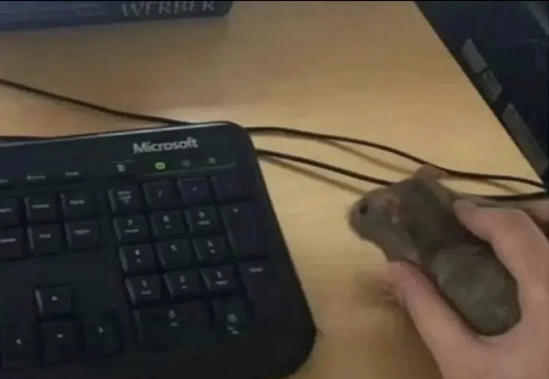 🕐HOURLY🕑 shitpost tweet media