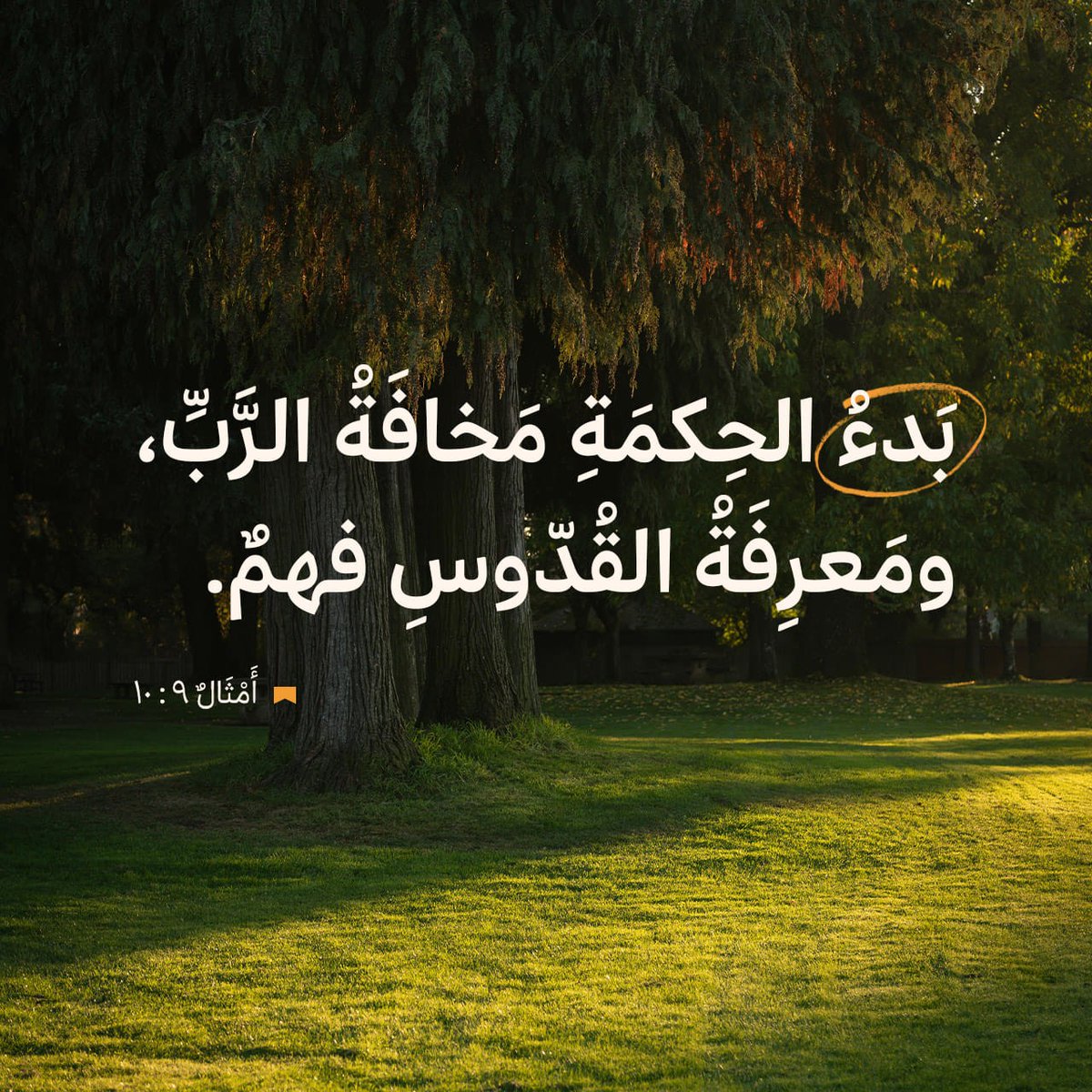 بَدْءُ ٱلْحِكْمَةِ مَخَافَةُ ٱلرَّبِّ، وَمَعْرِفَةُ ٱلْقُدُّوسِ فَهْمٌ.