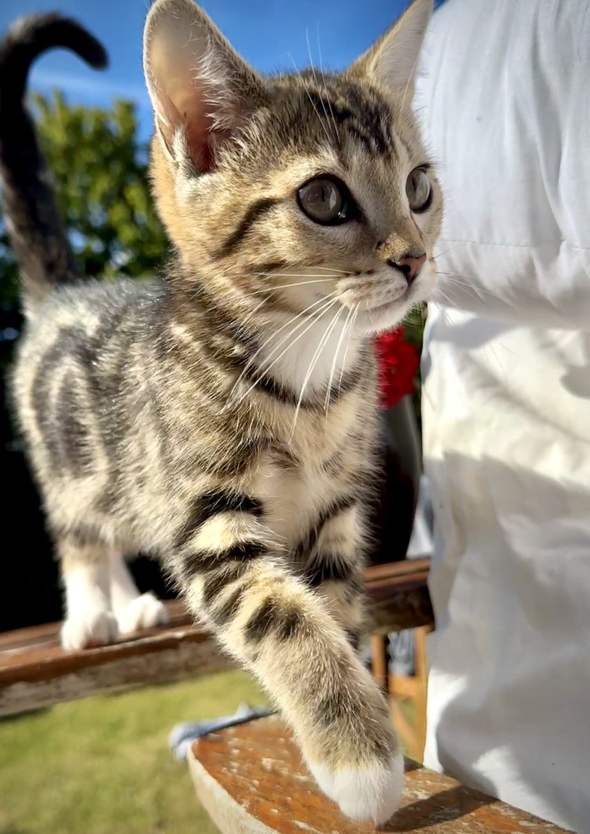 She finally has a name …..

Meet Miss Jackson