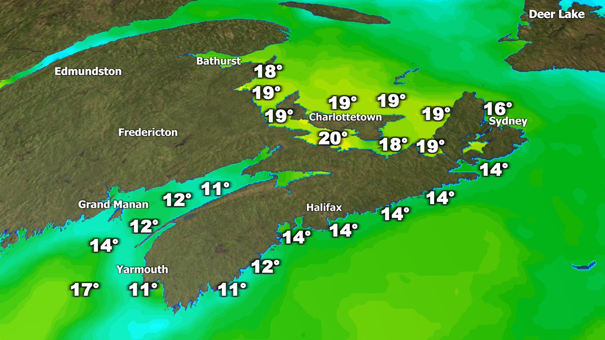 ryansnoddon's tweet image. Satellite sensors are detecting the first sea surface temperatures near 20° of the season in the Northumberland Strait.
Just 3 months ago, temperatures were near 0° in the Strait with some lingering chunks of ice.