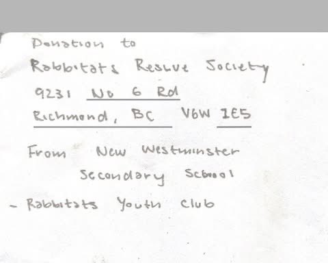 RabbitatsRescue's tweet image. Thanks so much to New West Secondary School students who started a Rabbitats Youth Club, came out to volunteer & donated $160 they raised! ❤️ They were awesome - self-starters & great workers, everything we like to see! 😍 We truly appreciate their help & the donation!! 🐰😘