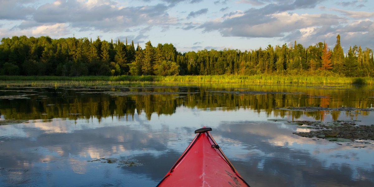 Montez dans un bateau ou un canoë et traversez l'#Ontario, le #Manitoba et le Minnesota : le #LacDesBois les relie tous ! 🛶
 
Nous travaillons pour protéger ce bijou aujourd'hui et pour l'avenir. 💧
 
Pour en savoir plus : ow.ly/hNOW50WlOiQ