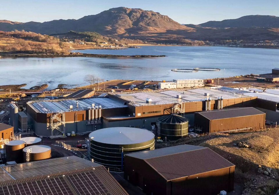 🚨 BLOOD PRESSURE ALERT🚨 

Faroese salmon farmers Bakkafrost have been given £630,000 by @HIE for an incinerator to burn baby salmon to ash. 

<a href="/_KateForbes/">Kate Forbes MSP</a> <a href="/GillianMSP/">Gillian Martin</a> <a href="/ScotGovMarine/">Scot Gov Marine</a> <a href="/MairiGougeon/">Mairi Gougeon</a> <a href="/HighlandCouncil/">The Highland Council</a> - proud of this? OUR money well spent?

landbasedaq.com/aquaculture-ba…