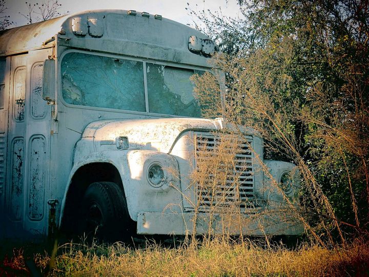 WolfHawk0915's tweet photo. Art of the Day: "This Old Bus". Buy at: https://t.co/3Joj9uA1wF https://t.co/YZOnYKwWJk