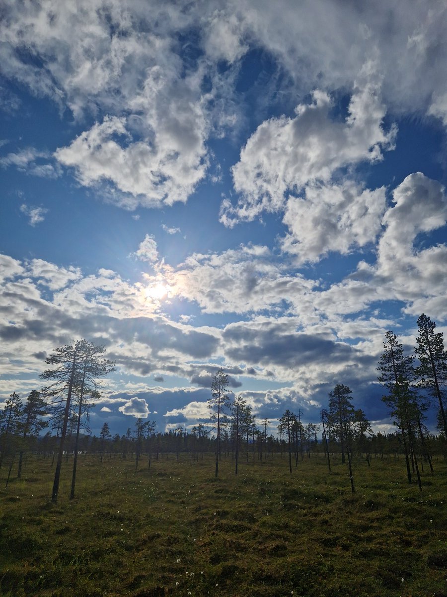 🔥Norrbotten🔥 (@norrlandslivet) on Twitter photo 