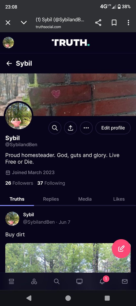 Sybil tweet media