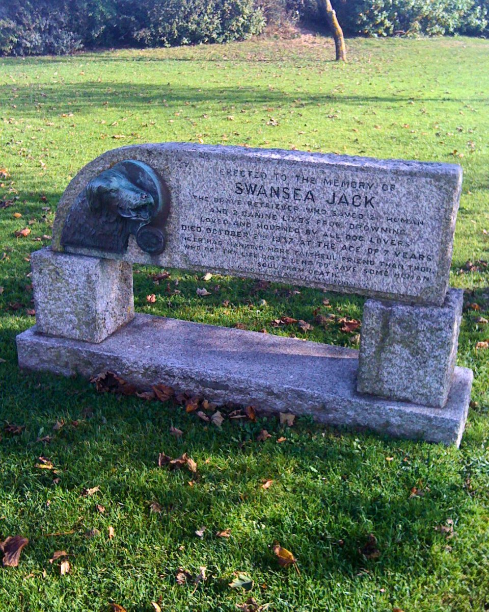 HistoryInPics's tweet image. In the 1930s, Swansea Jack, a black retriever, became a Welsh legend by rescuing 27 people from drowning. Awarded "Dog of the Century," his bravery led to Swansea locals being nicknamed "Jacks." His statue still stands as a tribute to this heroic pup.