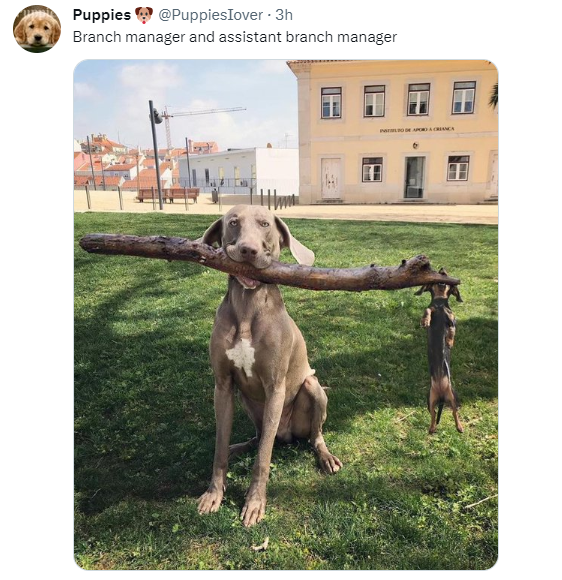 John Berger tweet media