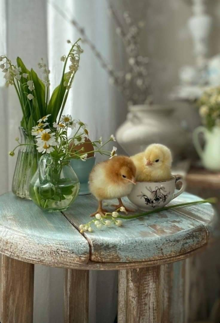 Have a nice day, everyone!