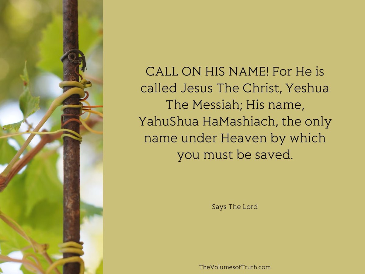 TweetOfTruth's tweet photo. Source: https://t.co/vy3Blg30gg
▶ Video/Playlist: https://t.co/FLD5Ec5vP4
#TheVolumesofTruth #Prophecy #YAHUWAH #YahuShua #Jesus #TheWordofTheLord #Truth #UnitedStates #USA #TheDayofTheLord #TheMessiah #Revelation #judgment #LaddertoHeaven #OneWay #OneWayOneTruthOneLife https://t.co/ojnJwh2IWk