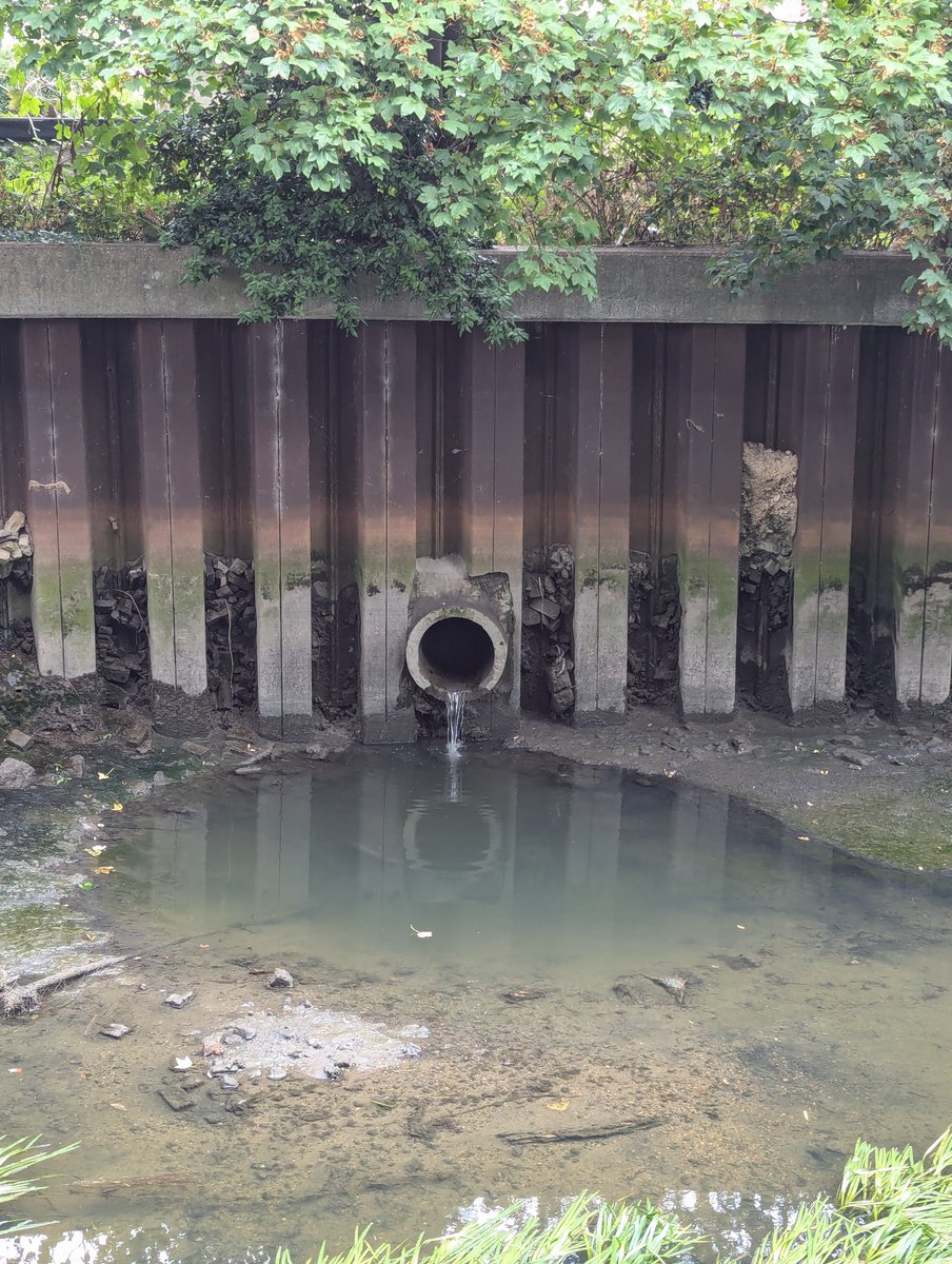 RBI Catchment Partnership tweet media