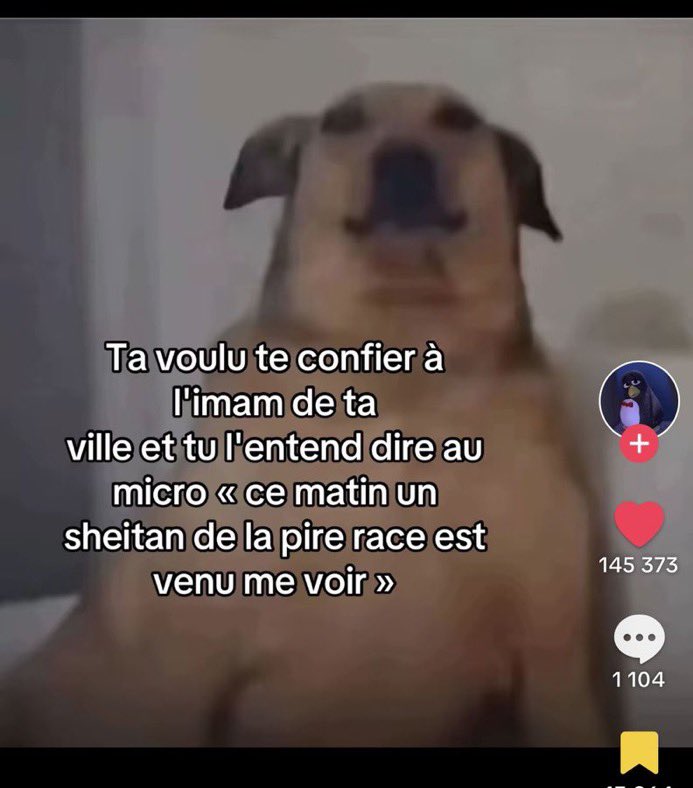 Mat_wine_2's tweet image. L’imam il est méchant sahhh  mdrrrerrr