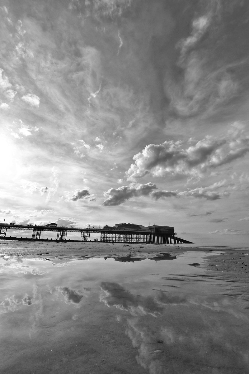 For #MonochromeMonday