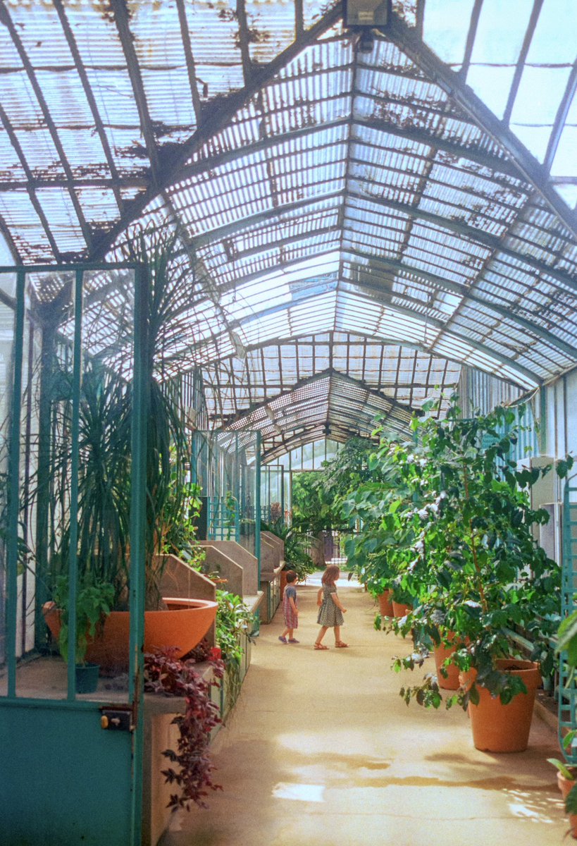 maximevisticot's tweet image. J’ai photographié le jardin des Serres à Paris sur film argentique 🎞️🪴