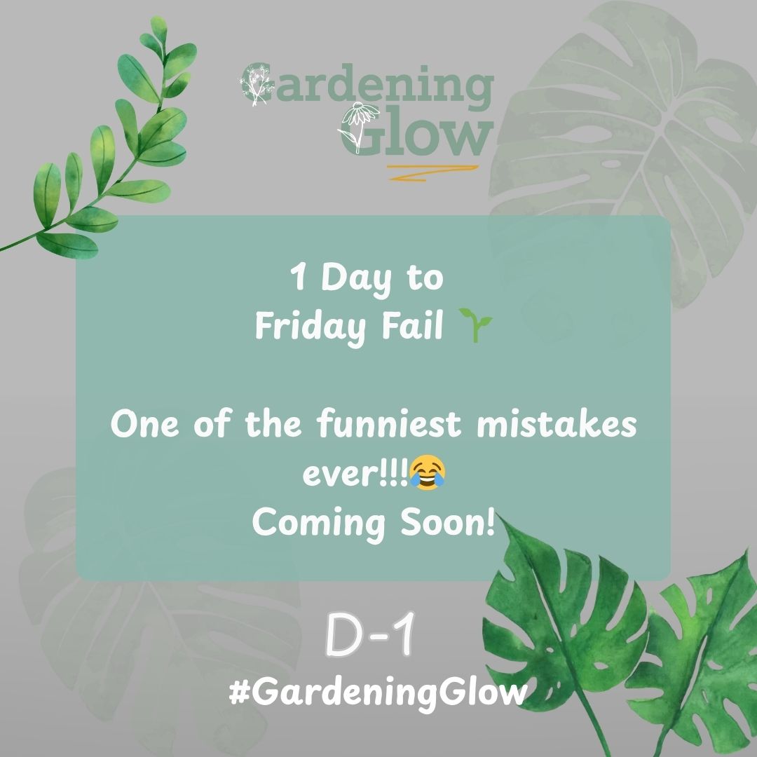 GardeningGlow's tweet image. Friday Fail coming in 1 day!!! 👀 Stay tuned this Friday!
#FridayFail  #GardeningGlow #GreenRoutine #CountdownToGrowth