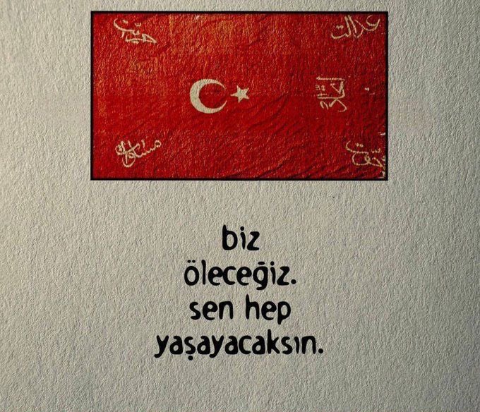 Fatih Tekcan tweet media