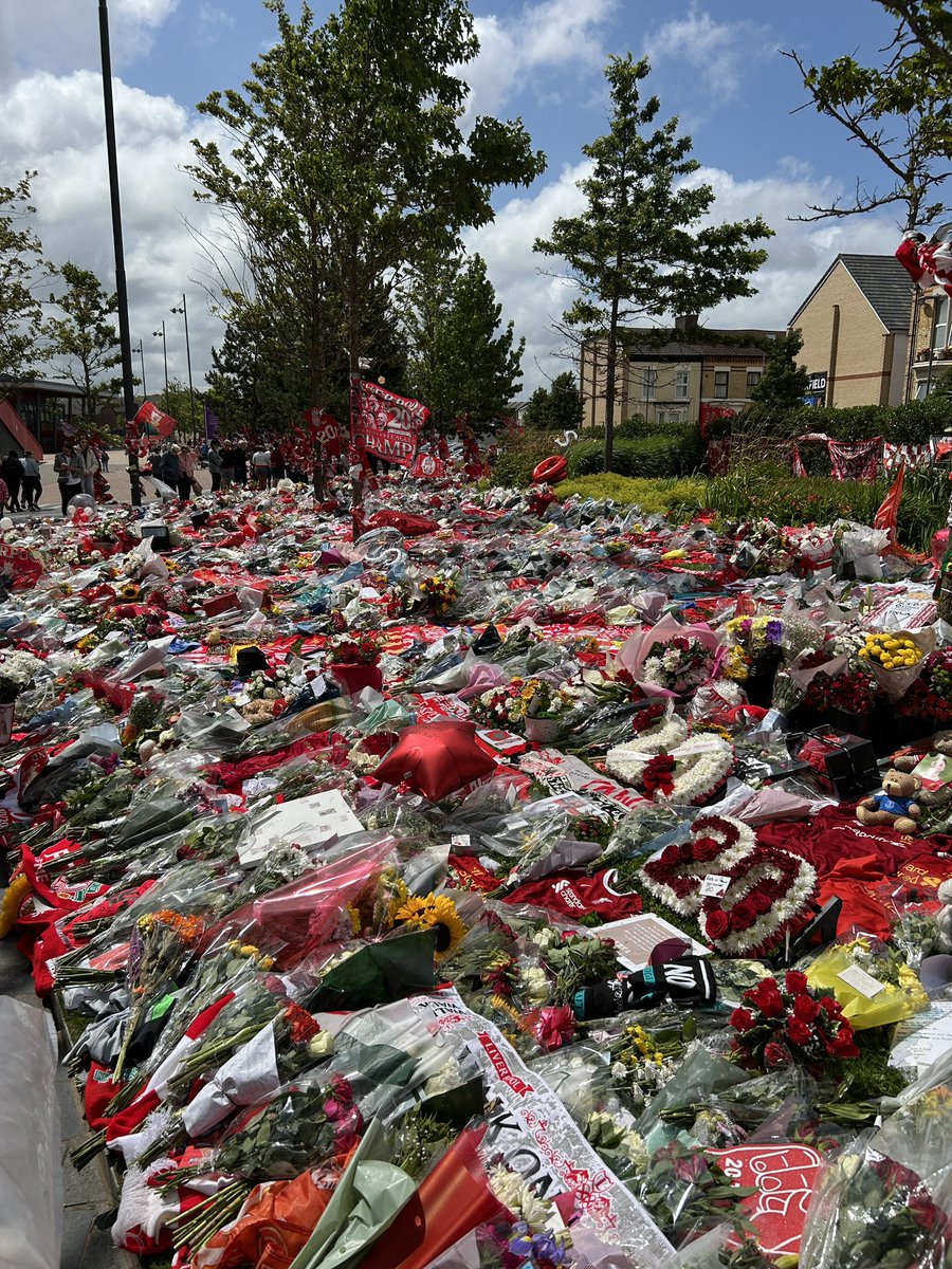 you are so loved jota ❤️