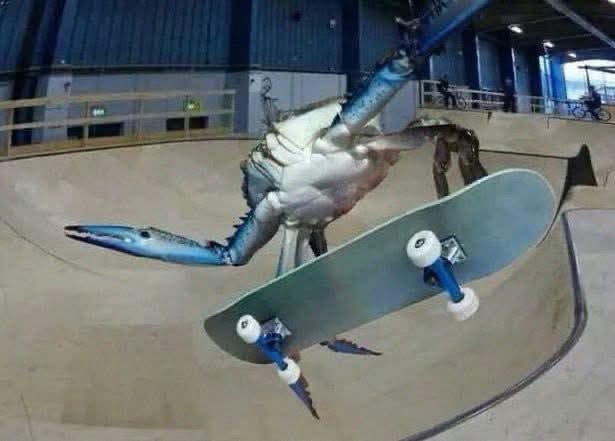 _offmylawn's tweet image. .@curatesdotfun seems interesting

it's another memecoin launchpad (boo) but the kicker is that you earn USDC yield based on your memecoin holdings

so now when you hold a coin to zero you can at least get some yield on the way?

idk whats going on but i did coin this pic of a…