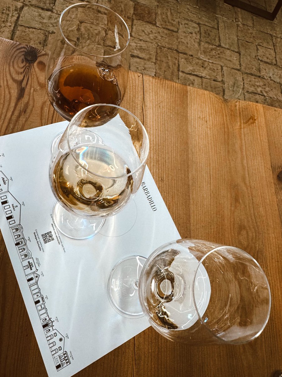 𝙼𝚊𝚛𝚒𝚊 𝚁𝚘𝚖𝚎𝚛𝚘 tweet media