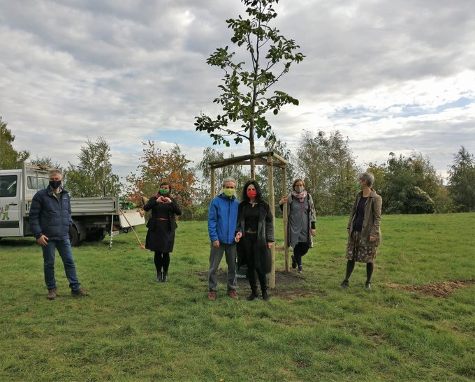 DidiDohle's tweet photo. .@DrTurgutAltug verbreitet Lügen zum Thema Tempelhofer Feld Gesetz #THFG. 
Auf Anfrage reagiert er nicht, er erzählt einfach irgendwas. 
Ihm wurde von der Fraktion ein Baum auf dem Feld geschenkt, um den er sich einen Scheiß kümmert.
Trotzdem behauptet er, Baumpflanzungen...1/2 https://t.co/LjIpqijn70
