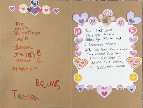 RabbitatsRescue's tweet image. A special thank you to the staff & school-aged children at Olive Grove Childcare at Hillside in North Van for donating $50 raised from a lemonade stand to Rabbitats!
Heartfelt support like this keeps us going. We & the rescued bunnies in our care cannot thank you enough! 💕