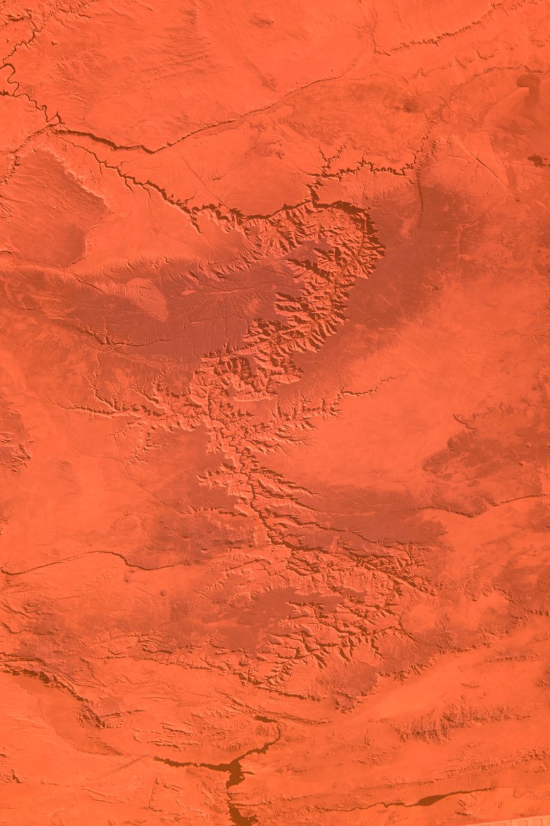 astro_Pettit's tweet image. The Grand Canyon region photographed in near-infrared from the ISS, reminiscent of the surface of Mars.