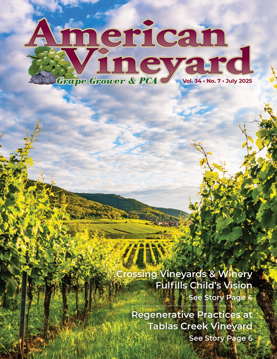 📖🍇Read the newest edition of American Vineyard now, available digitally. Want the physical copy to read? Get it free by subscribing to the magazine! 
lnkd.in/gd2gTXhf
#americanvineyardmagazine #malcolmmedia #californiaagnetwork #bestreads