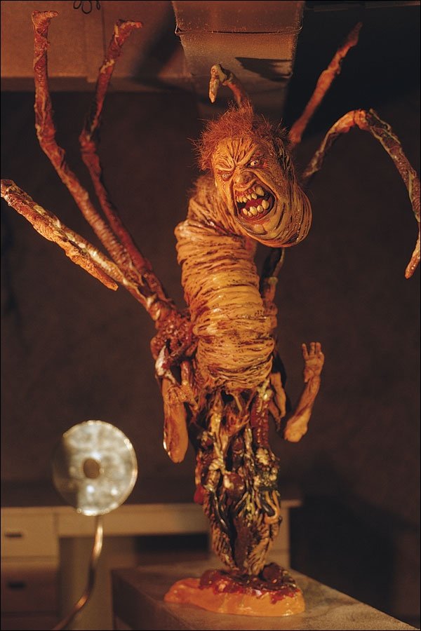 ClarkThingDB's tweet image. Getting into taxidermy