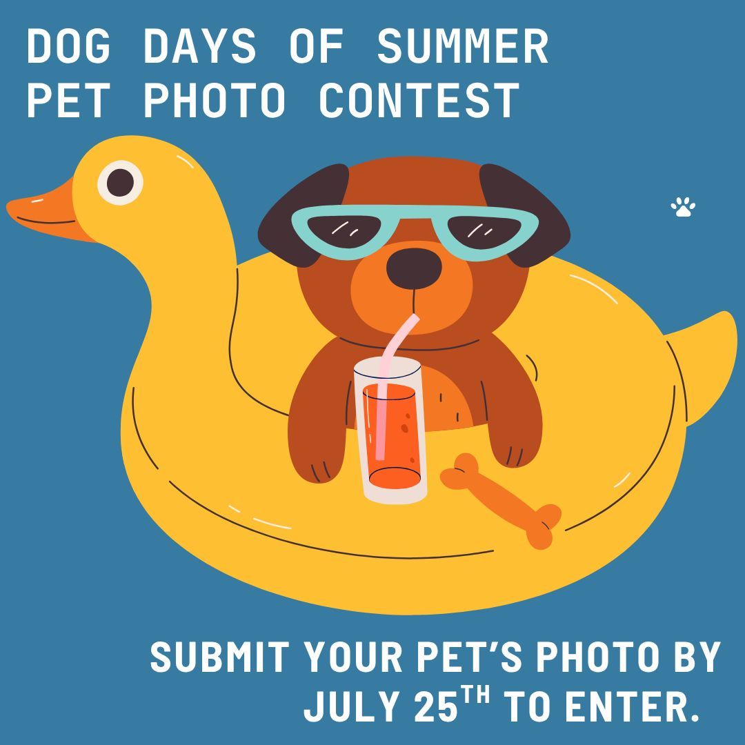Learn more or submit your pet here: buff.ly/ydzPMXd