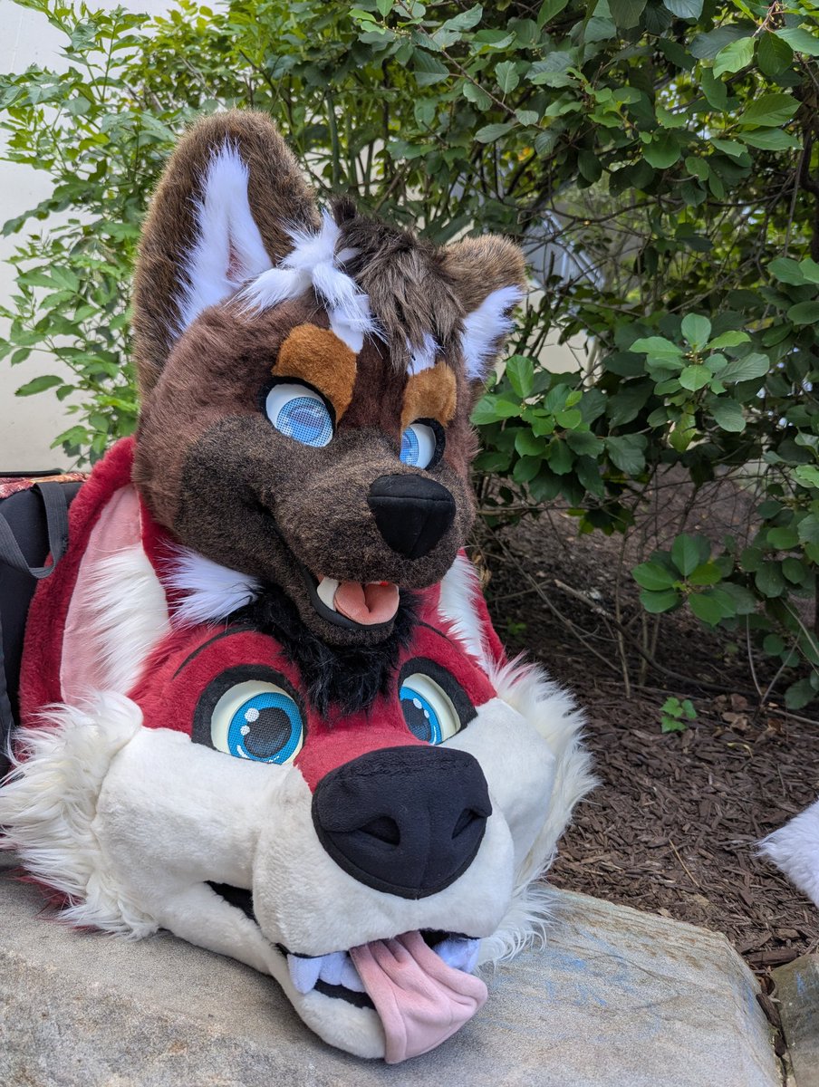 Mr_Natel's tweet image. This #AC2025 has been absolutely magical. I have literally the best friends in the world. The homies that I spent all con with are the best people in the world. Getting a suit has been fun but my friends make this con so magical.